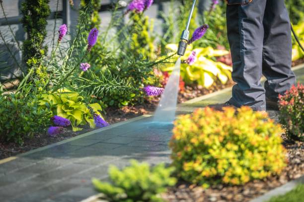 Best Boat and Dock Cleaning  in Delta Junction, AK