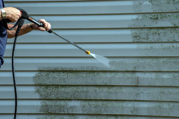 Best Driveway Pressure Washing  in Delta Junction, AK