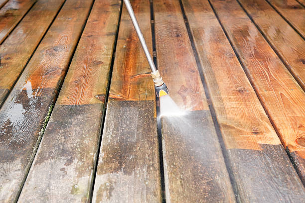 Best Pre-Holiday Cleaning  in Delta Junction, AK